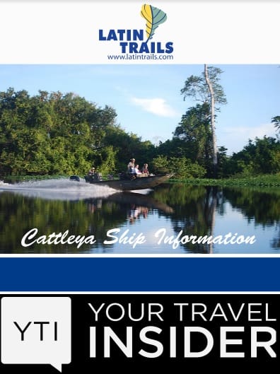 Your Travel Insider